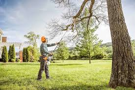 Best Emergency Tree Removal Services  in Charlotte, TN